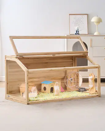 The text on the image reads:
"t0 samwer FIVE"