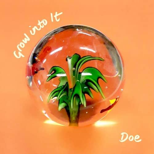 Doe - Grow Into It   - COMPACT DISCS [CD] price history on PriceWatchPro