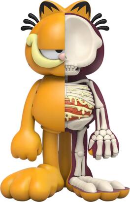 PopMarket - Mighty Jaxx - Garfield - XXRAY Plus - Garfield (Limited Edition) - Collectibles - Multicolor