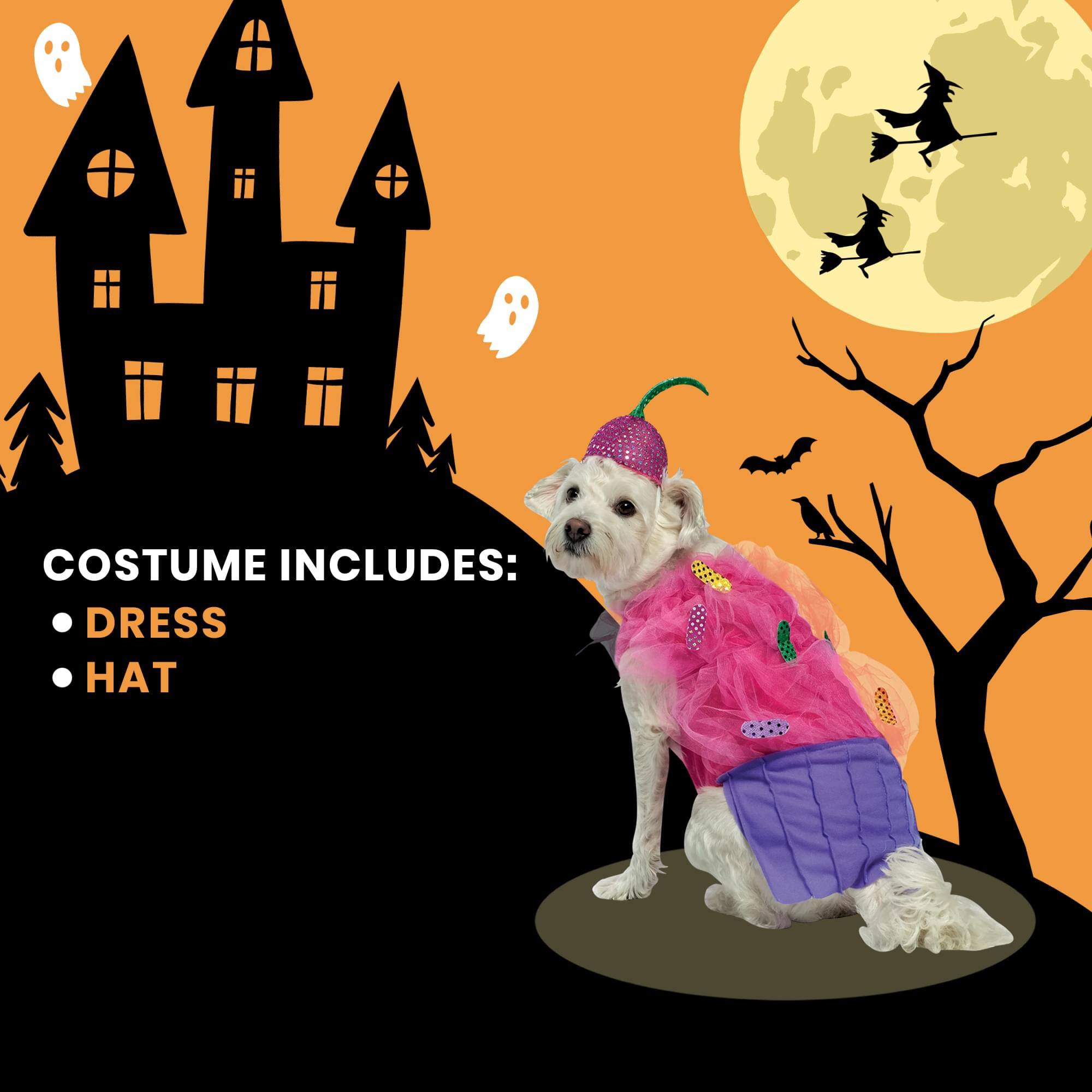 COSTUME INCLUDES:  
- DRESS  
- HAT