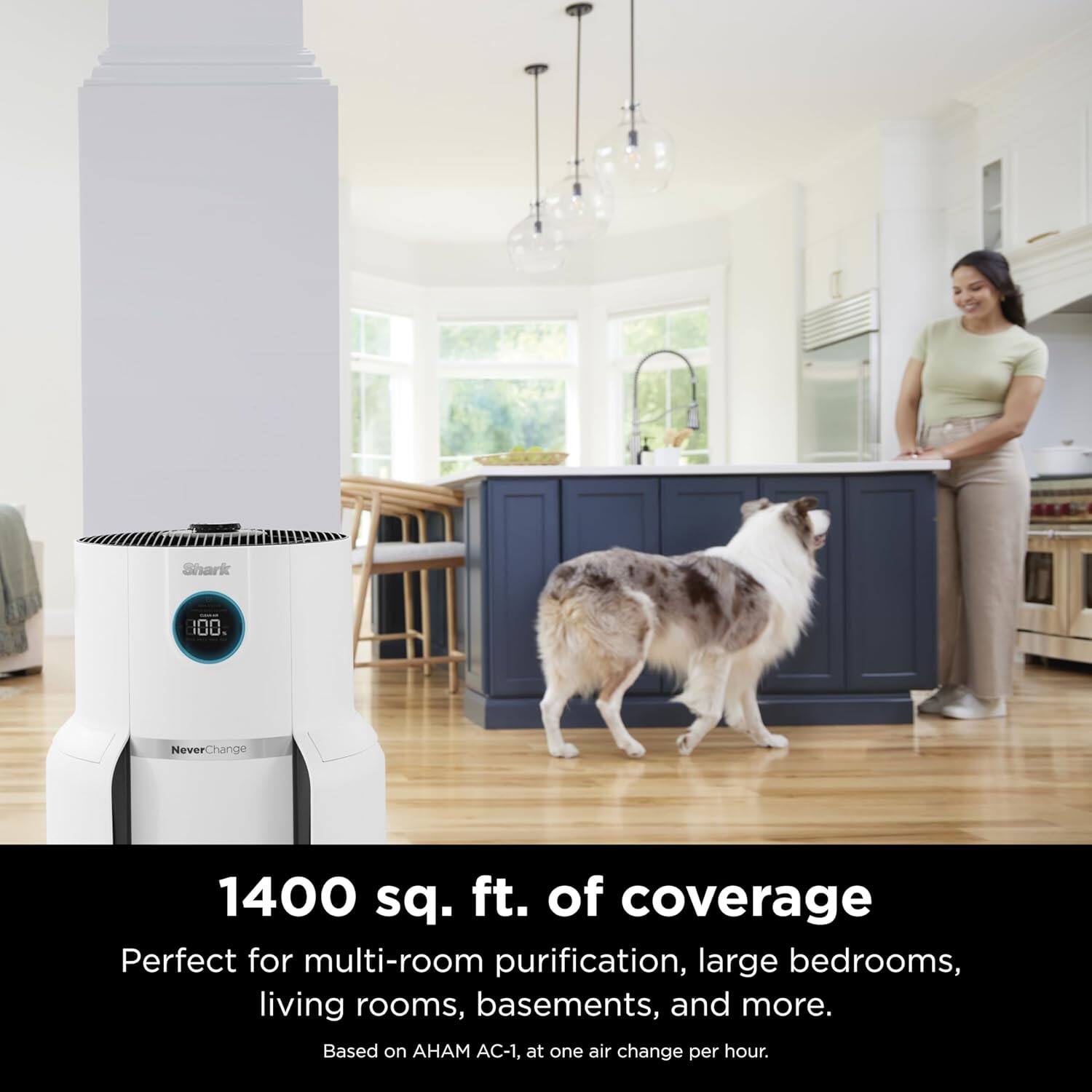 Shark 100 NeverChange  
1400 sq. ft. of coverage  
Perfect for multi-room purification, large bedrooms, living rooms, basements, and more.  
Based on AHAM AC-1, at one air change per hour.