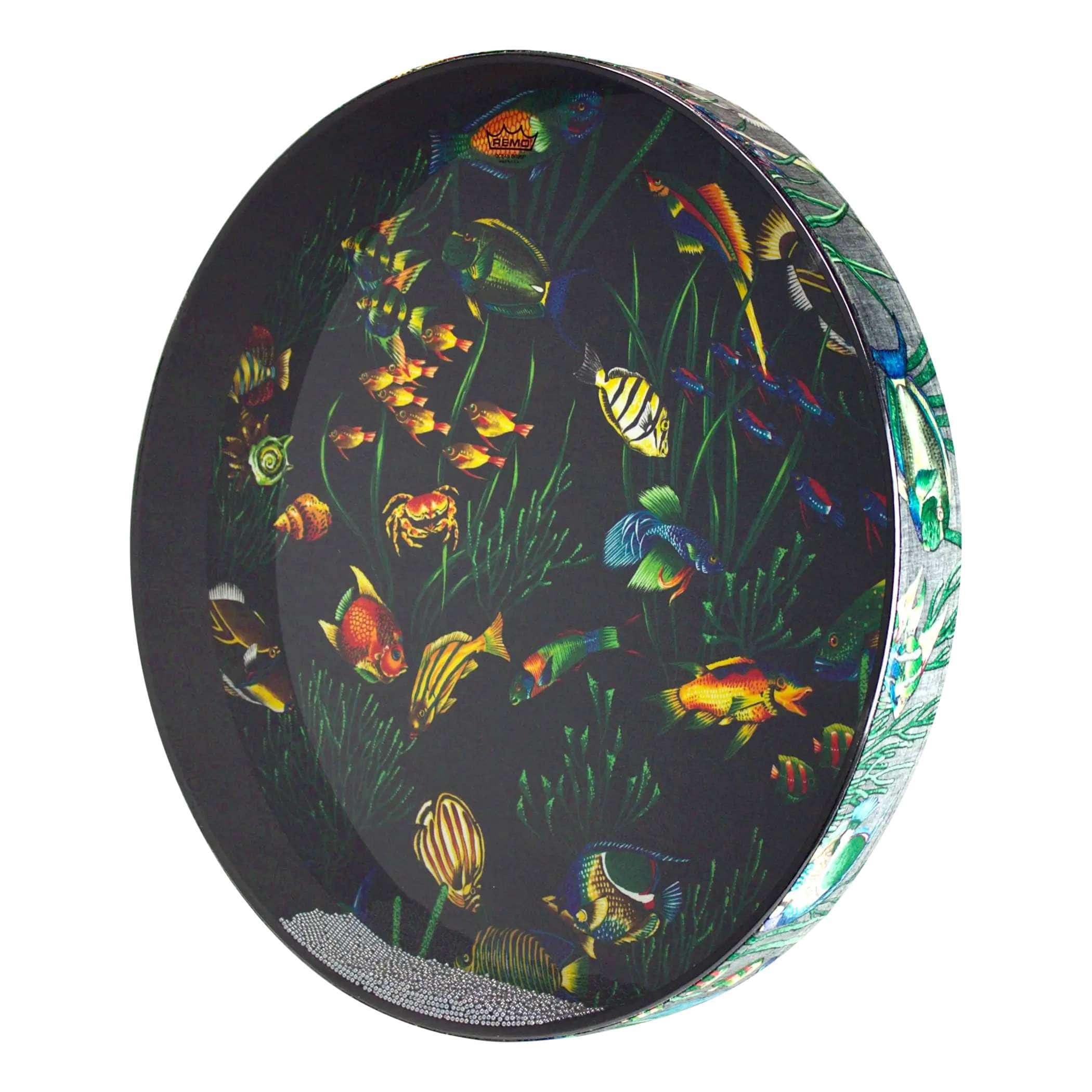 Remo - Ocean Drum, 22 Diameter, 2 1/2 Depth, Fish Graphic price history on PriceWatchPro