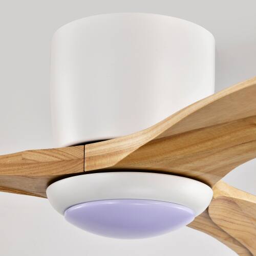 Alt View 6. LUCKY ONE - 52" Ceiling Fan with Light Remote 6-Speed Wood Blades Indoor Use - Matte White,Natural Wood.