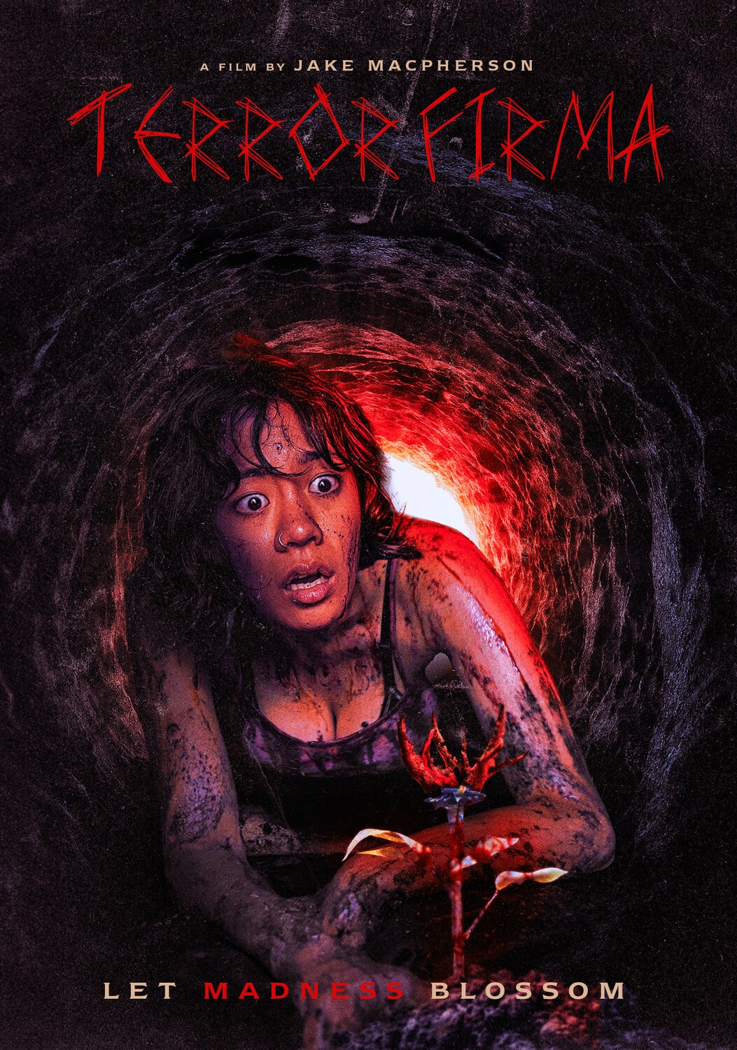 Terror Firma  - DVD
