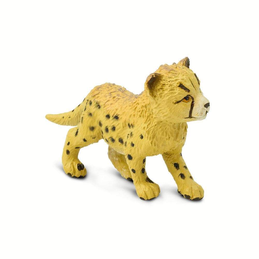 Back. Safari Ltd. - Cheetah Cub.