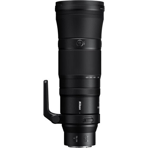 n*n様 本鼈甲 三味線撥 撥先約89mm 全長180mm 重量118g 高級天 Nikon NIKKOR Z 180 600mm f/5.6 6.3 VR Lens (Nikon Z) w/ Advanced