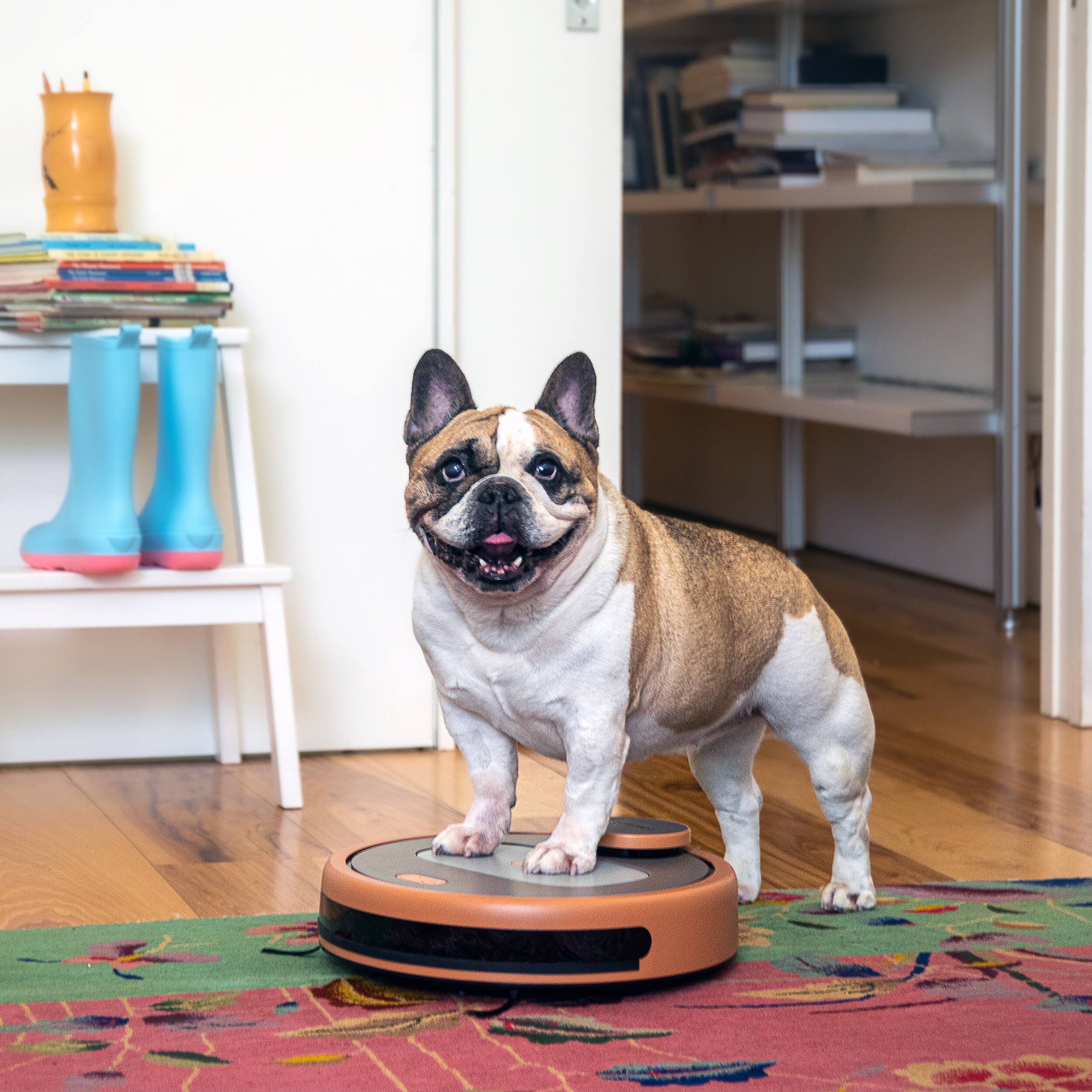 Alt View 13. bObsweep - PetHair Appetite Wi-Fi Connected Robot Vacuum and Mop - Thai Tea.