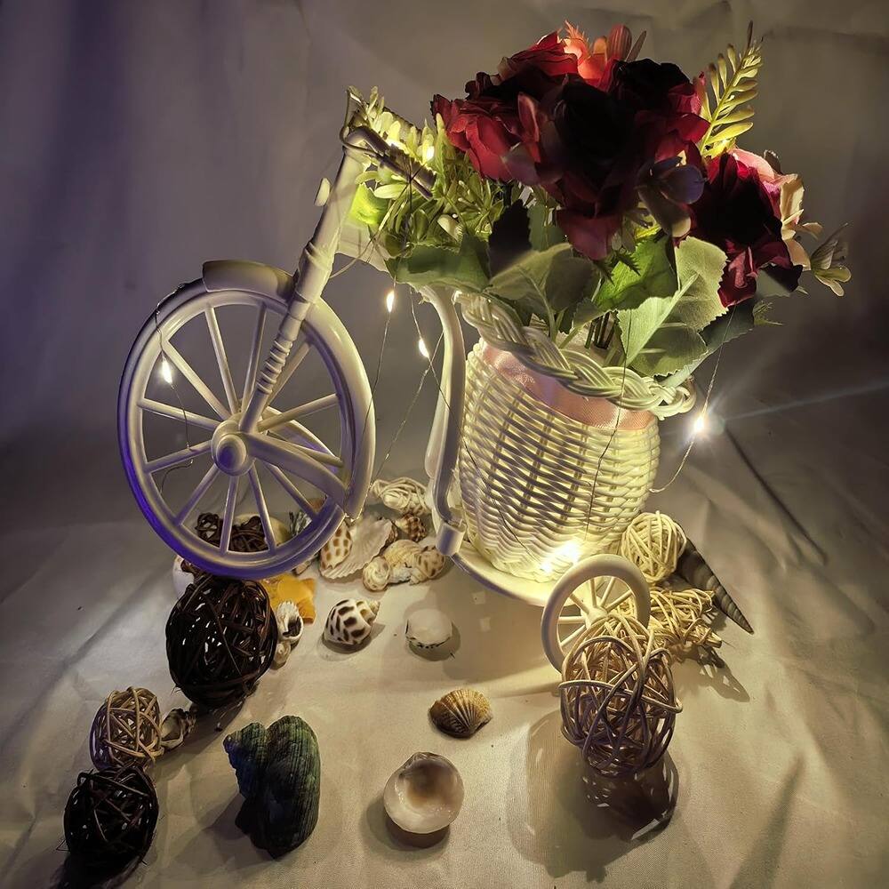 Left. PARKER SLATER - 6-Pack Battery Operated Fairy Lights, 3.3ft 10 LED Silver Wire, Mini Lights.