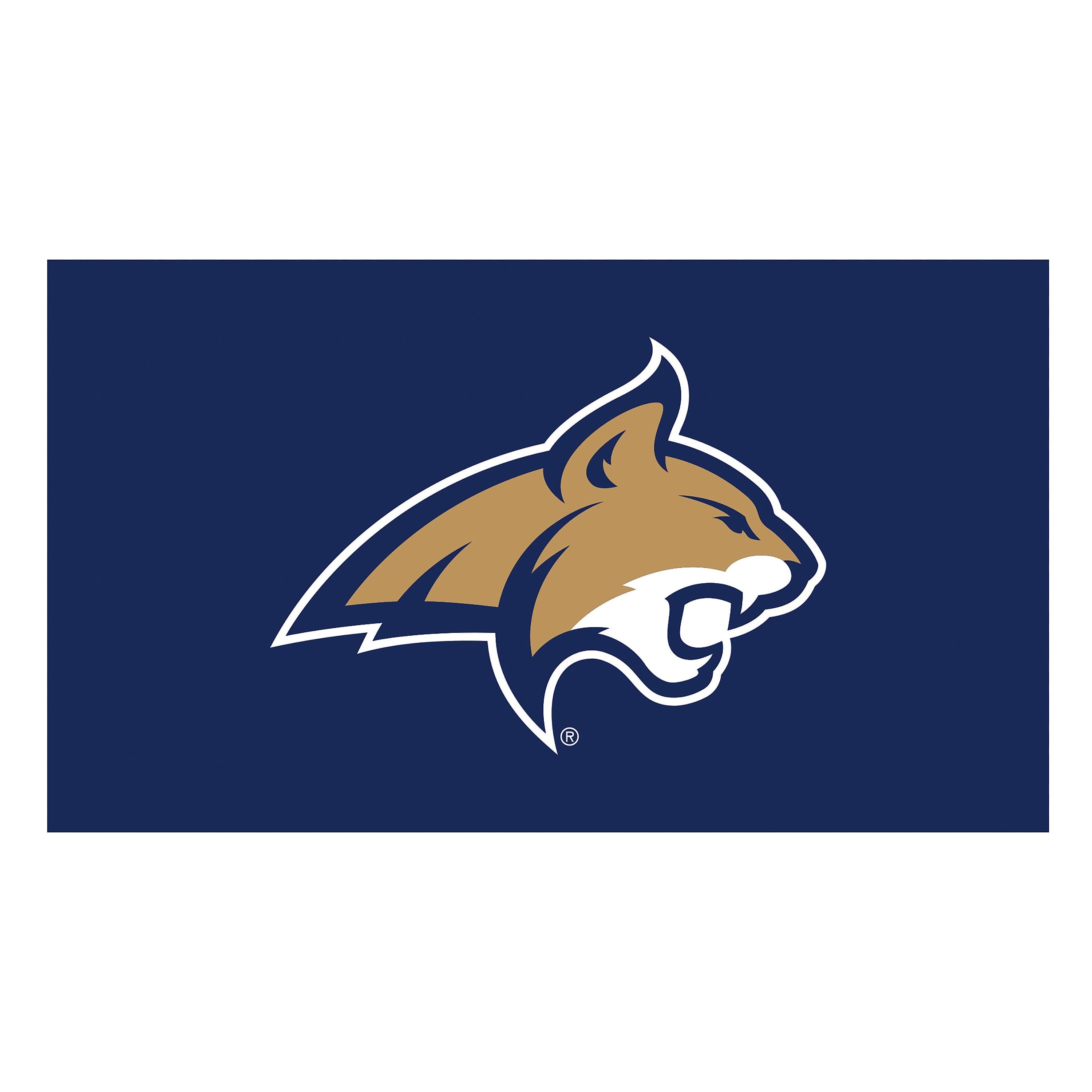 Evergreen Enterprises - Montana State Bobcats 16" x 28" Full Color Indoor/Outdoor Logo Turf Mat - Multicolor