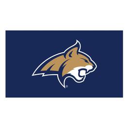 Evergreen Enterprises - Montana State Bobcats 16" x 28" Full Color Indoor/Outdoor Logo Turf Mat - Multicolor