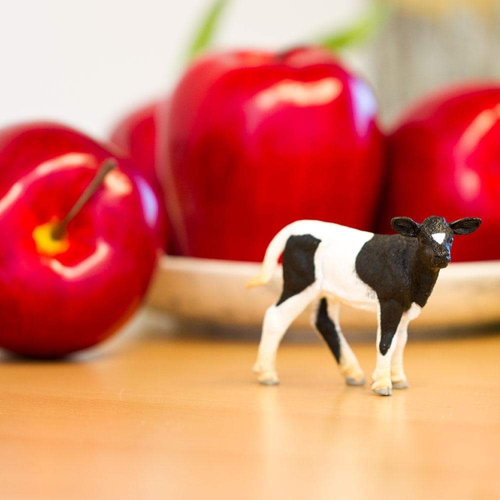Angle. Safari Ltd. - Holstein Calf.