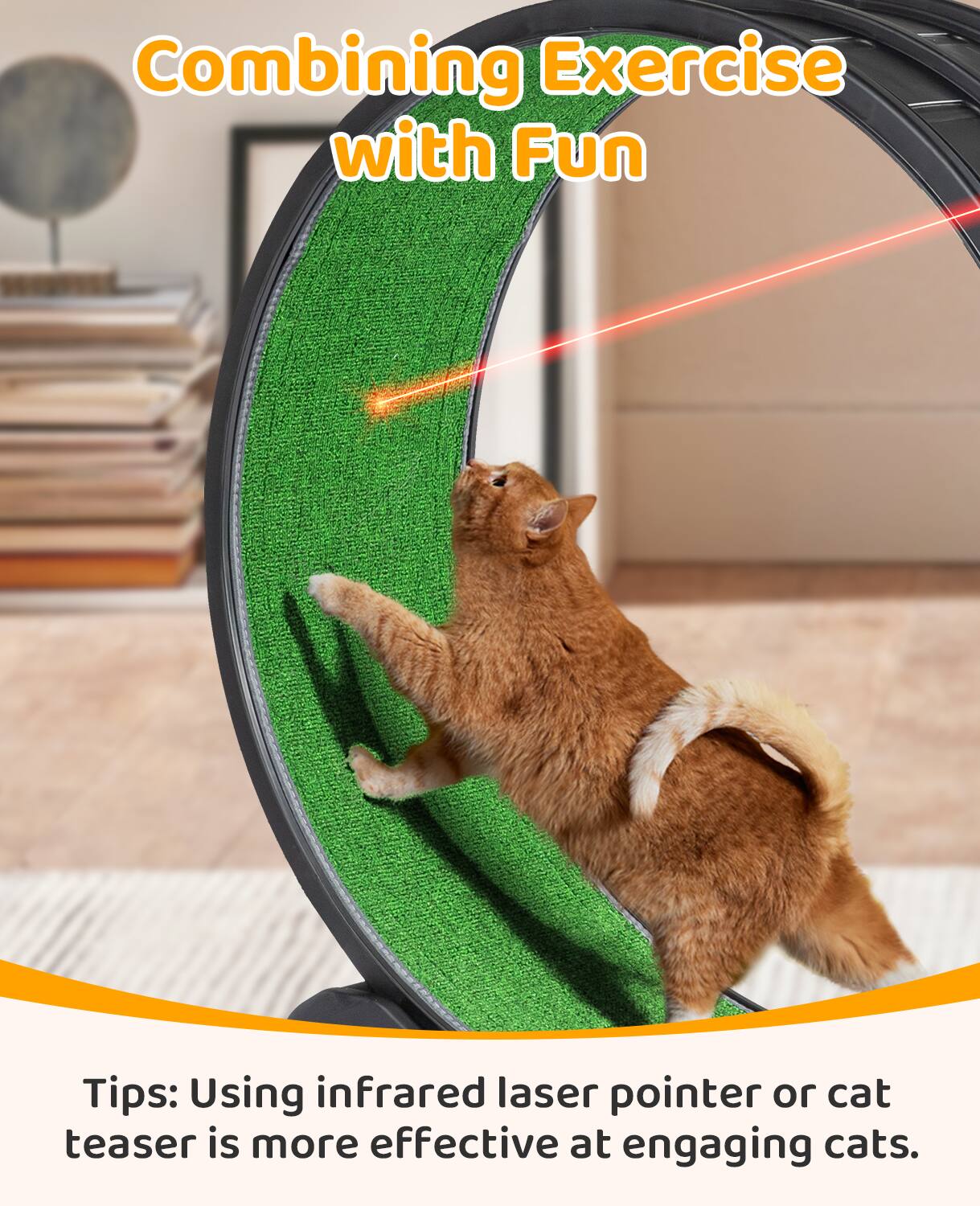 Alt View 5. Winado - Cat Exercise Wheel 30inch for Indoor Cats, Safety Cat Treadmill Running Wheel - Black.