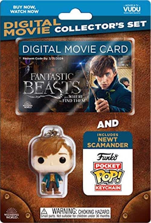 Fantastic Beasts and Where to Find Them (BlackFriday/DVD) [DVD]