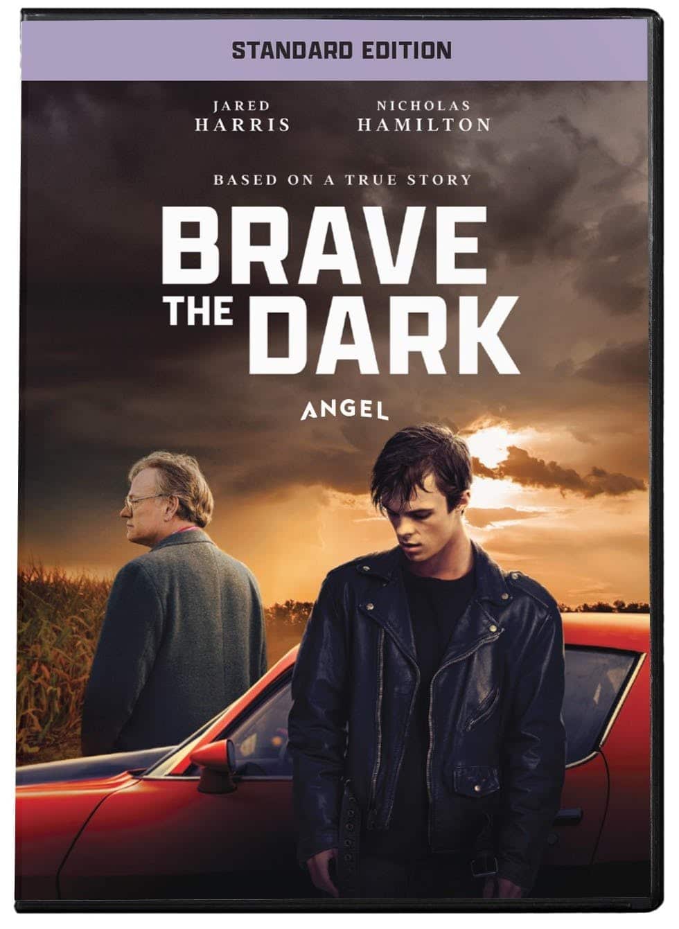Brave the Dark [DVD] [Standard] price history on PriceWatchPro