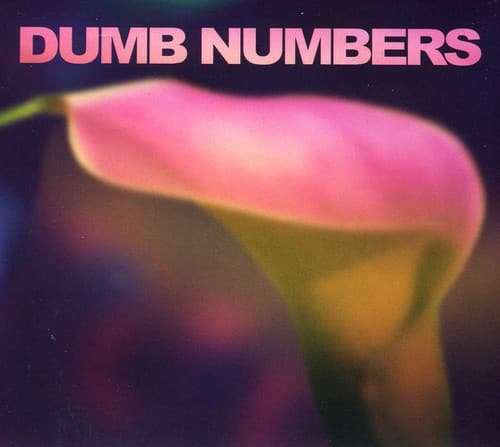 Dumb Numbers - Dumb Numbers  - COMPACT DISCS