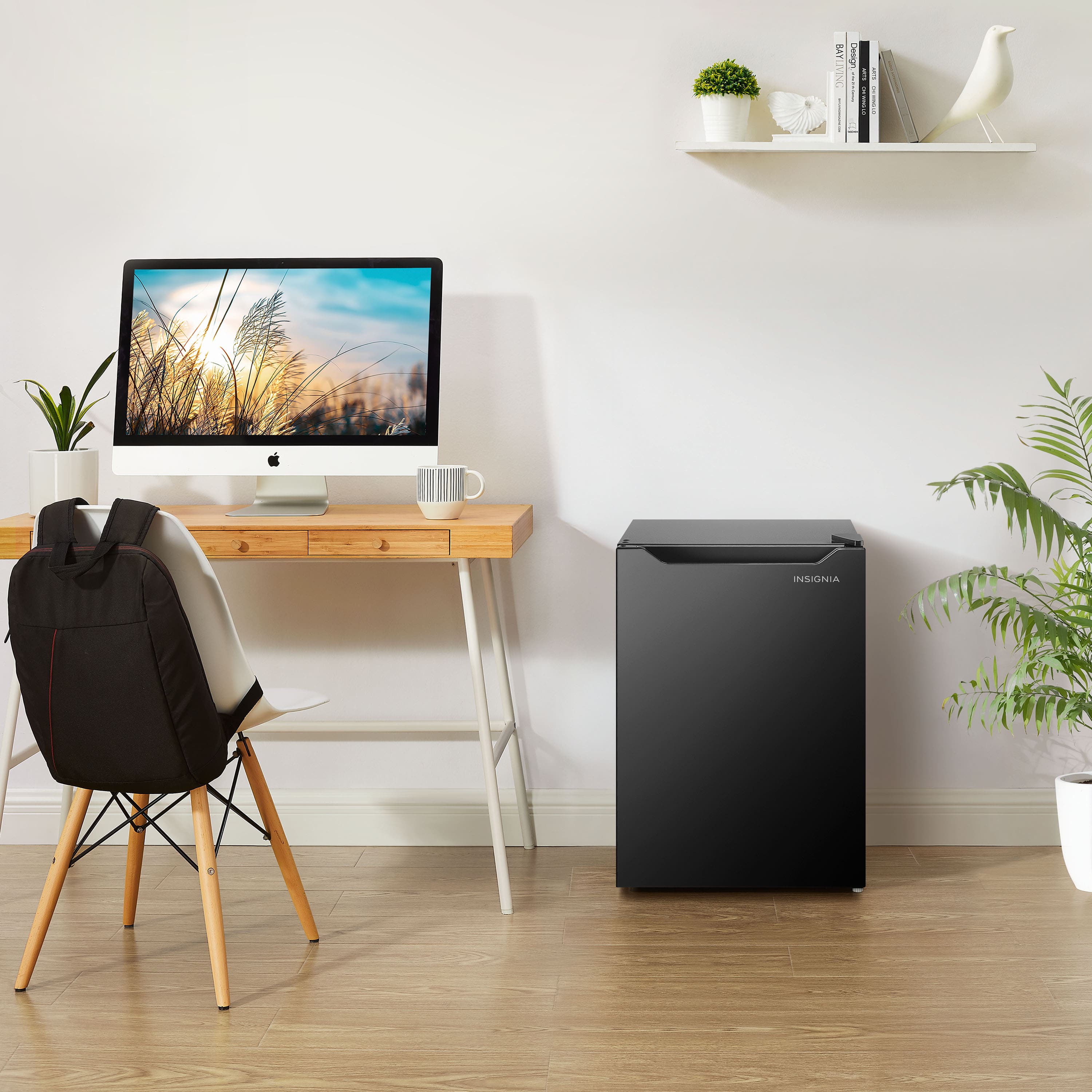 The text on the image reads:
"INSIGNIA"