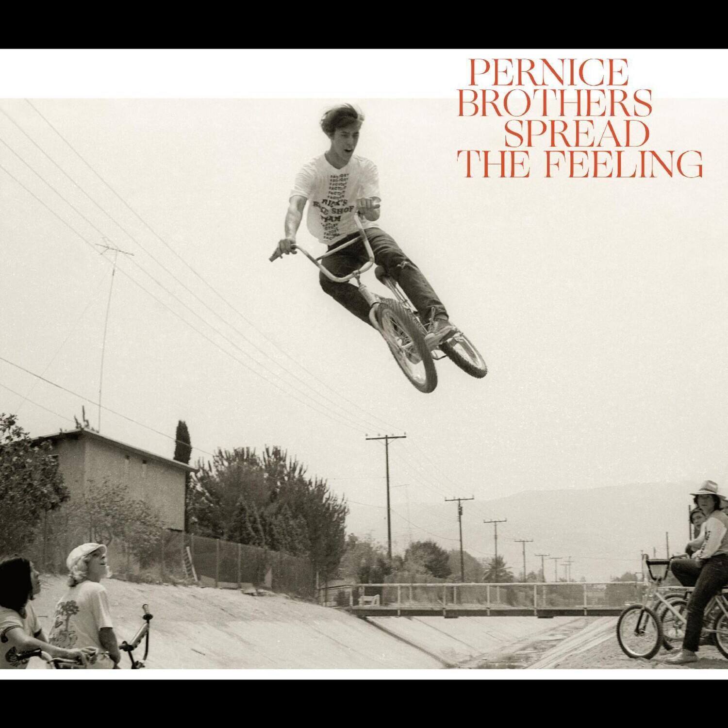 The Pernice Brothers - Spread The Feeling   - COMPACT DISCS [CD] price history on PriceWatchPro
