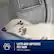LIFTS AND CAPTURES PET HAIR
Pet Pro Option