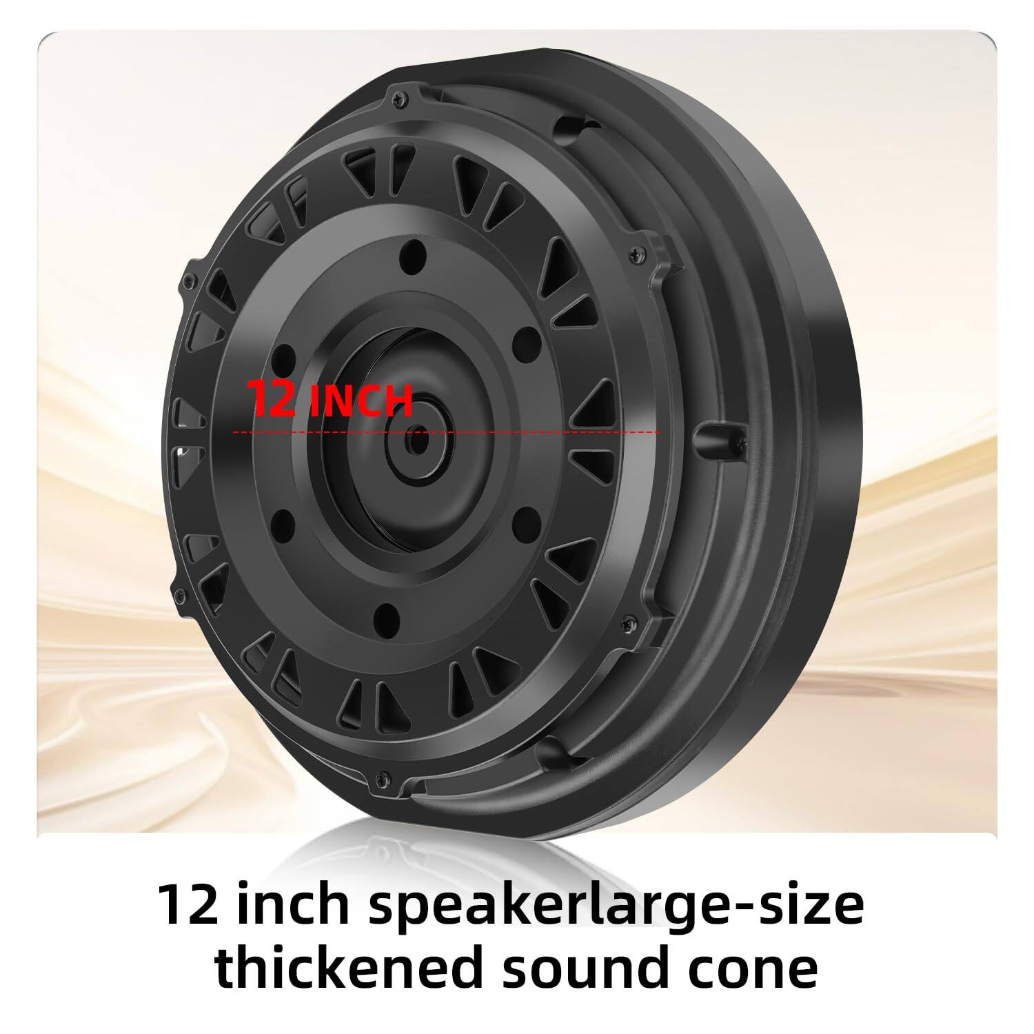 12 inch speaker  
large-size thickened sound cone