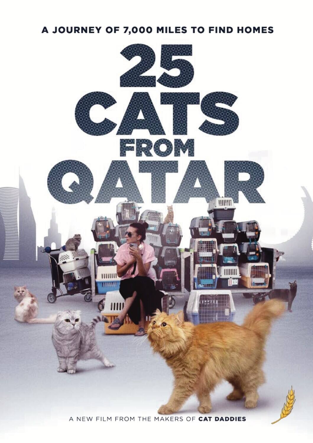 25 Cats from Qatar   - DVD price history on PriceWatchPro