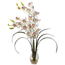 BreeBe - Cymbidium Orchid w/Vase Arrangement - White