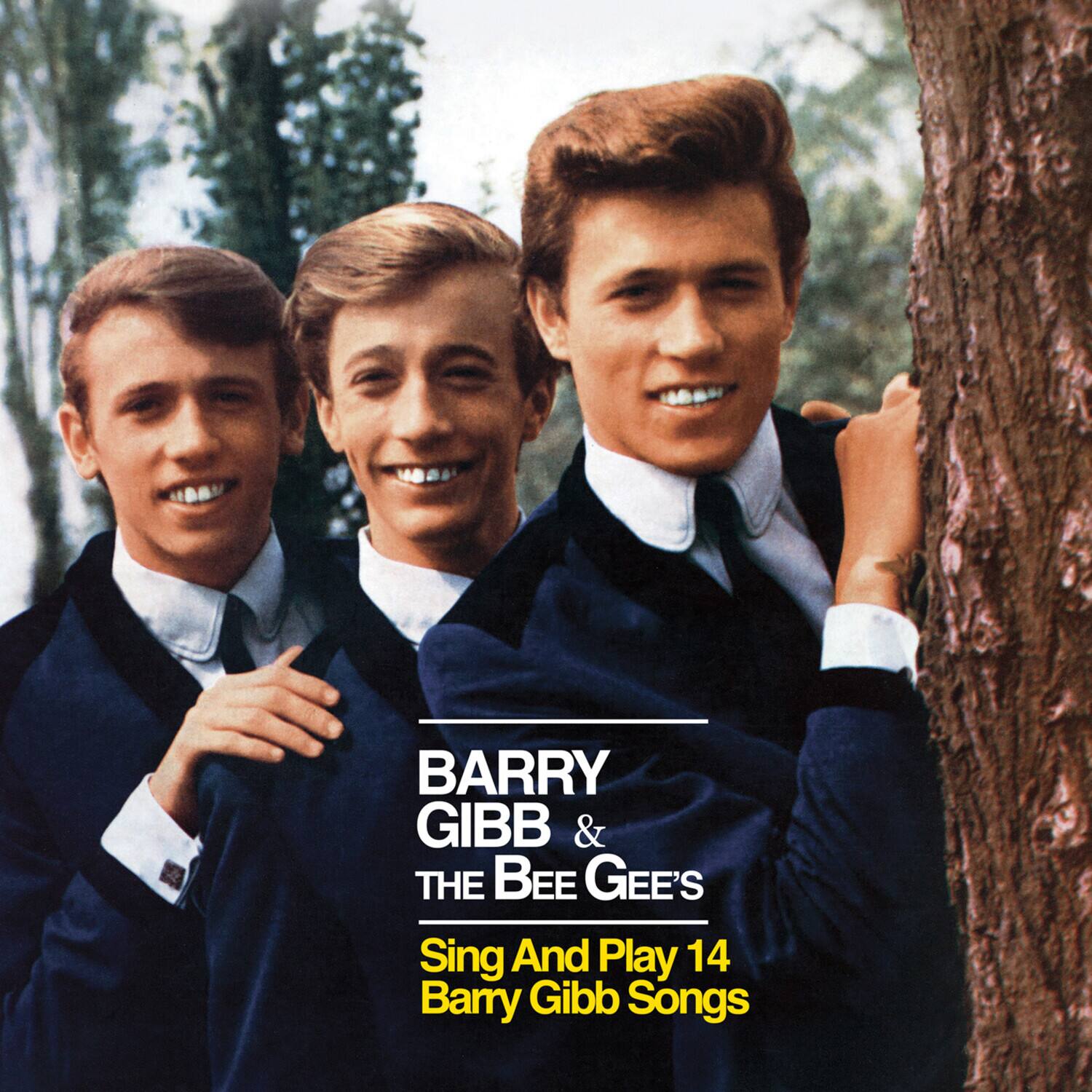 BARRY GIBB & THE BEE GEES  
Sing And Play 14 Barry Gibb Songs