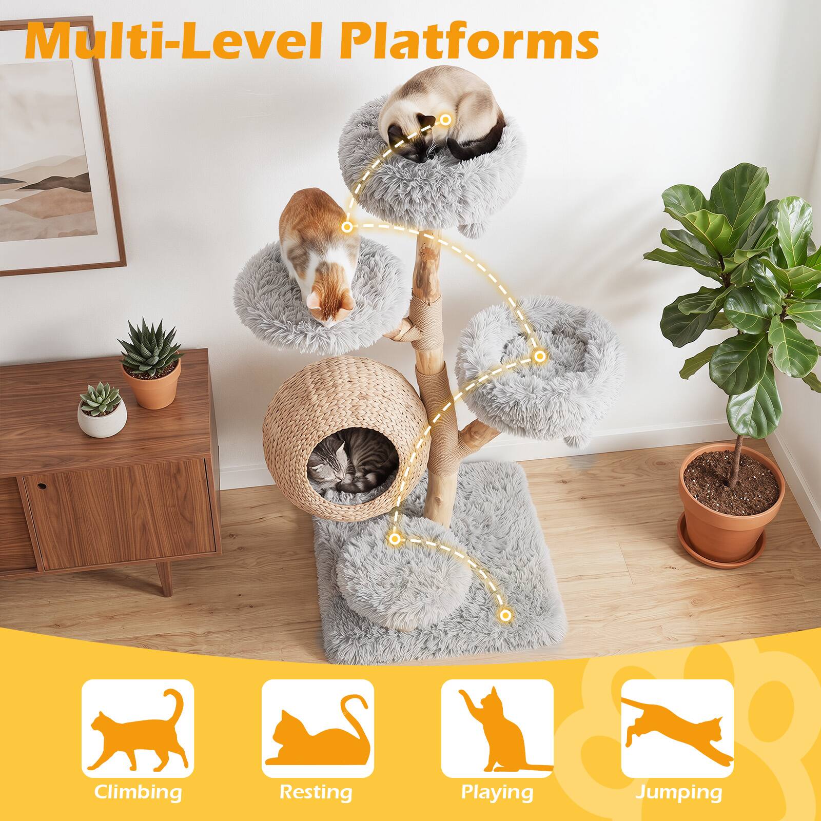 Multi-Level Platforms  
Climbing  
Resting  
Playing  
Jumping