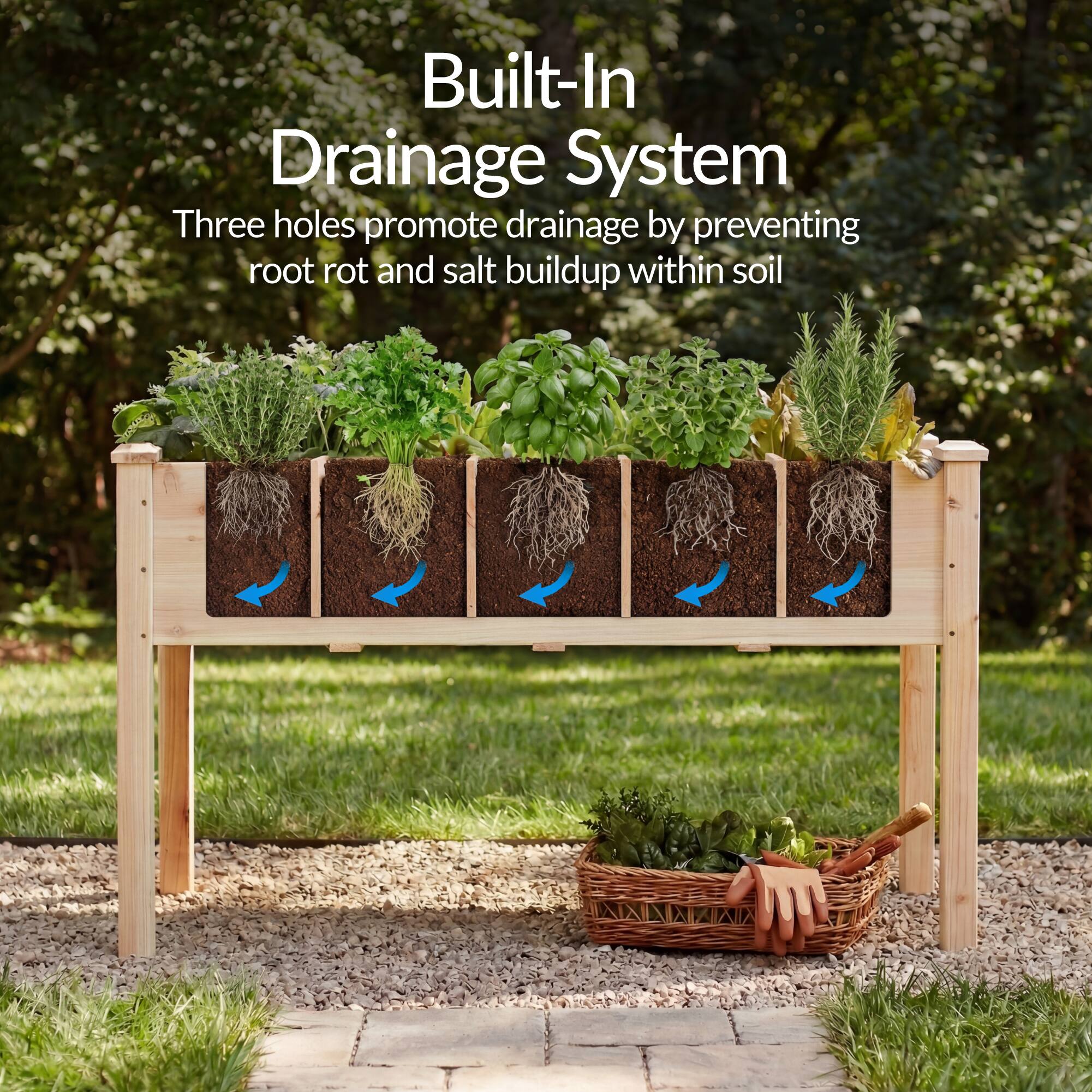 Built-In Drainage System

Three holes promote drainage by preventing root rot and salt buildup within soil