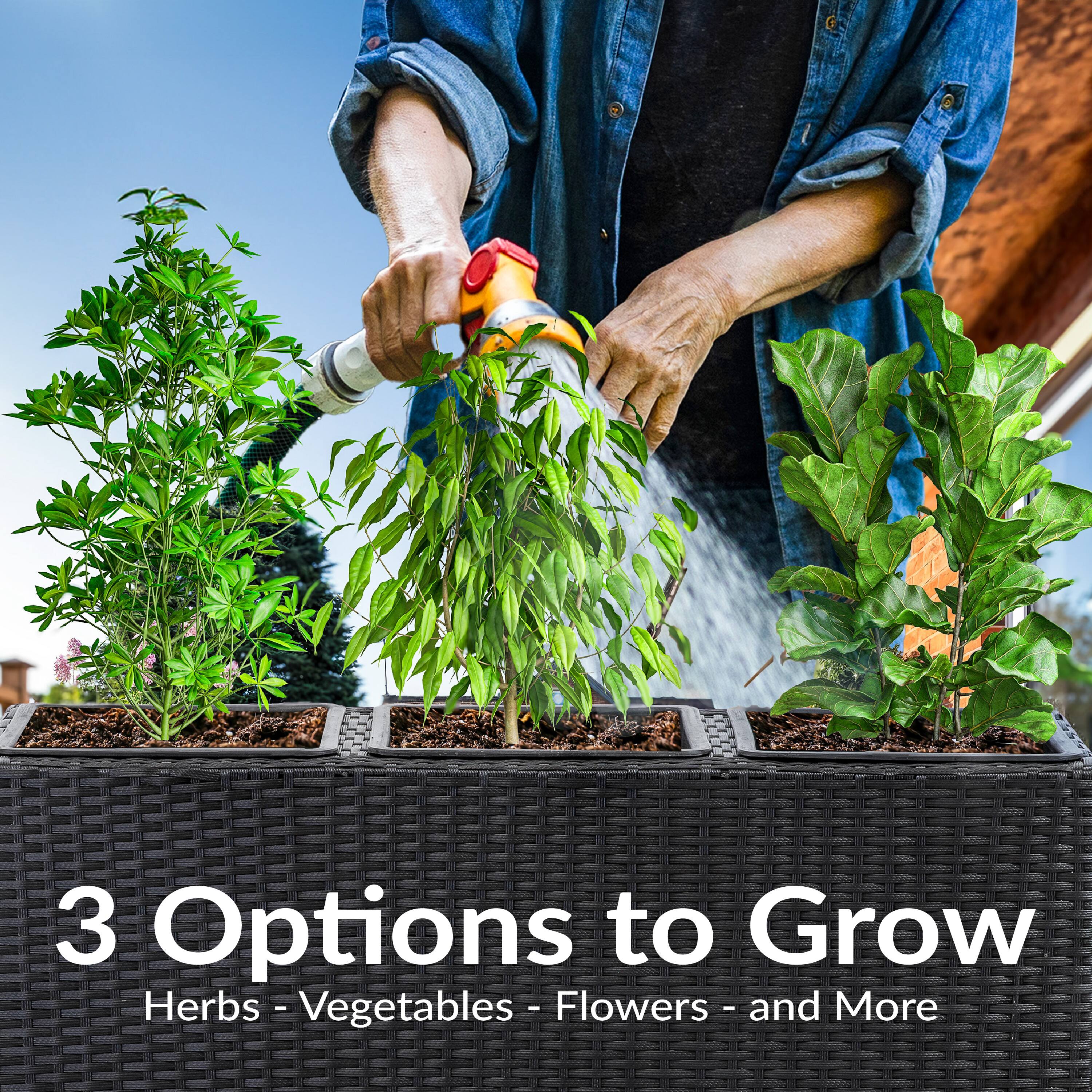 3 Options to Grow  
Herbs - Vegetables - Flowers - and More