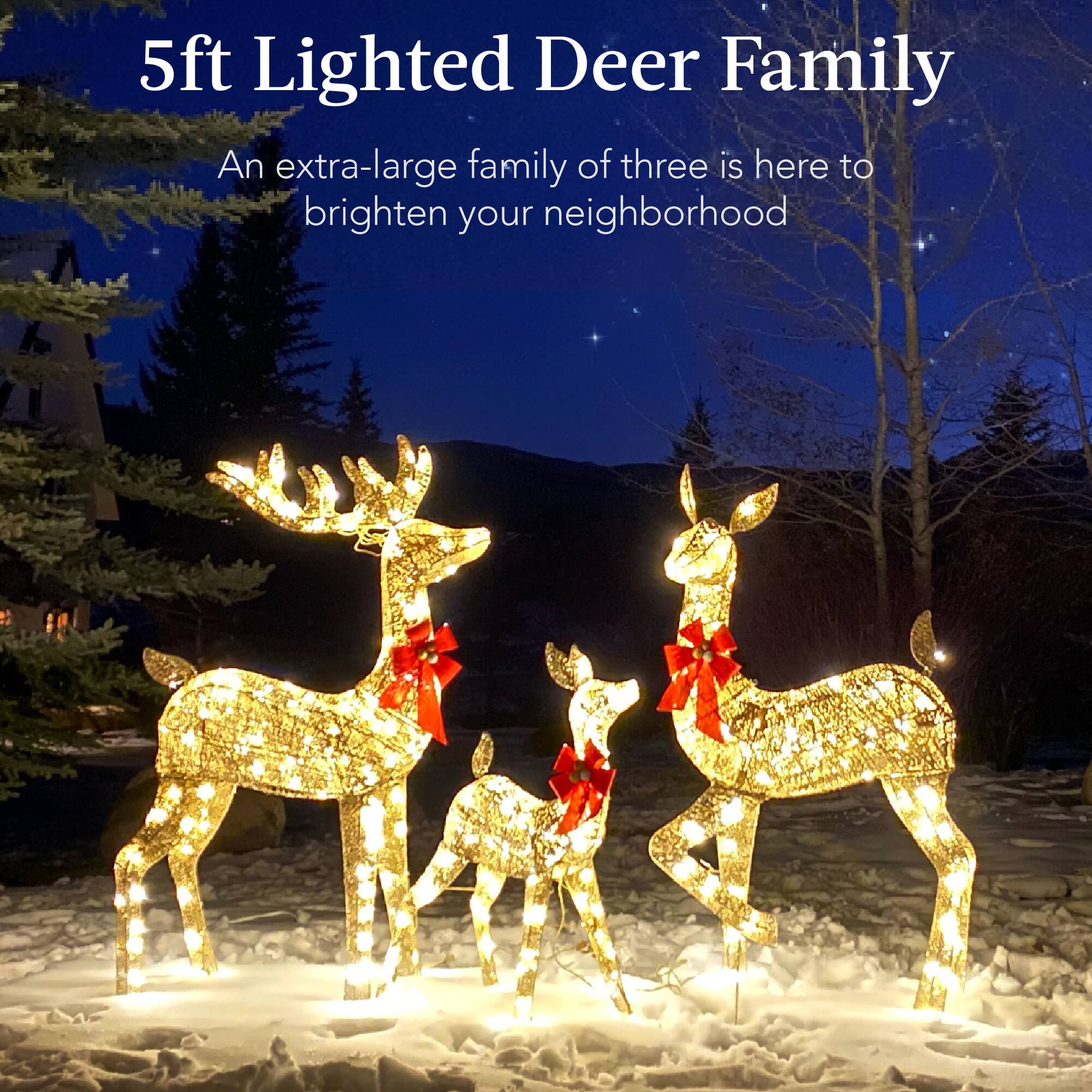 5ft Lighted Deer Family

An extra-large family of three is here to brighten your neighborhood