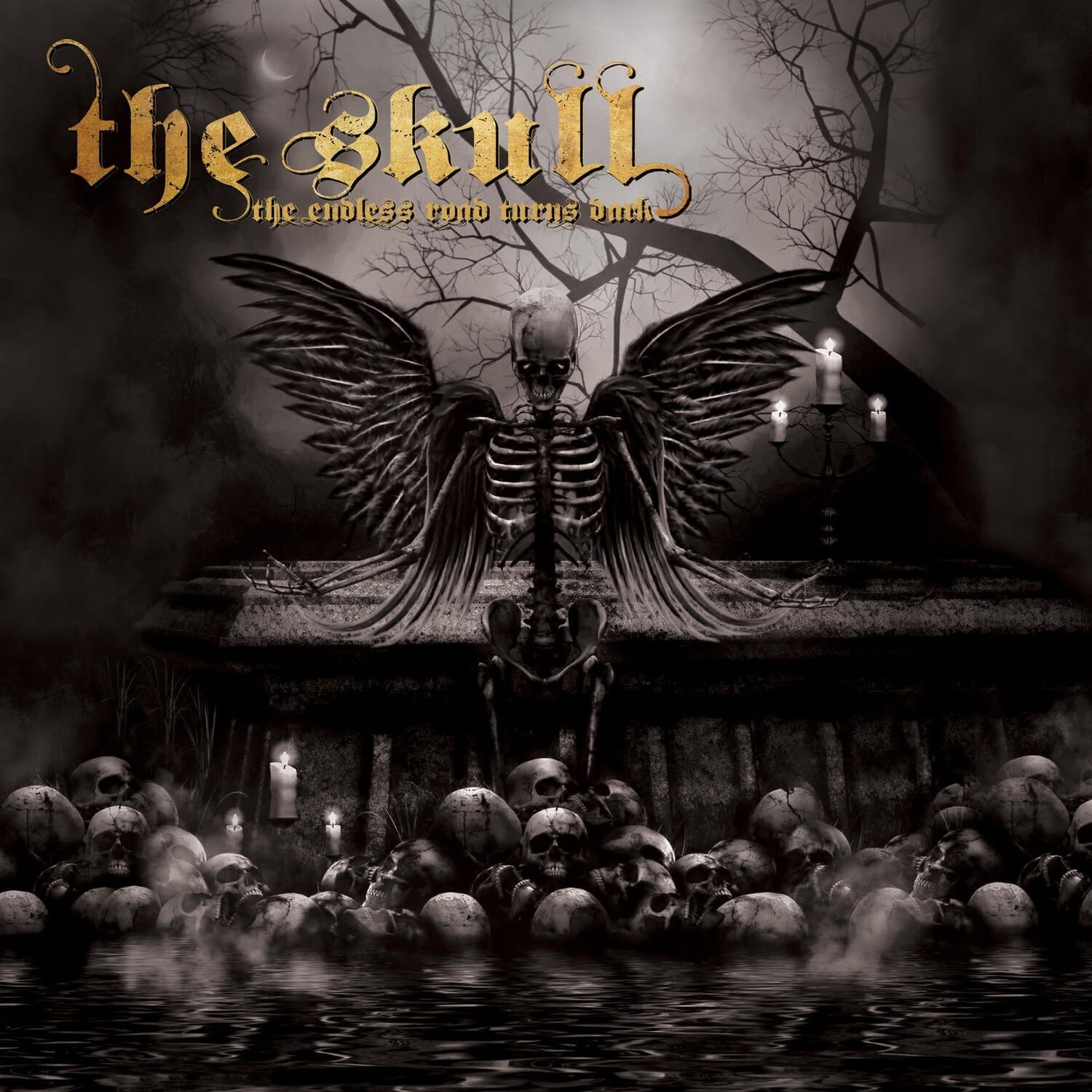 The Skull - Endless Road Turns Dark   - VINYL LP price history on PriceWatchPro