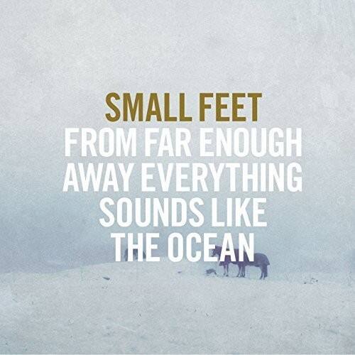 Small Feet - From Far Enough Away Everything Sounds Like   - VINYL LP price history on PriceWatchPro
