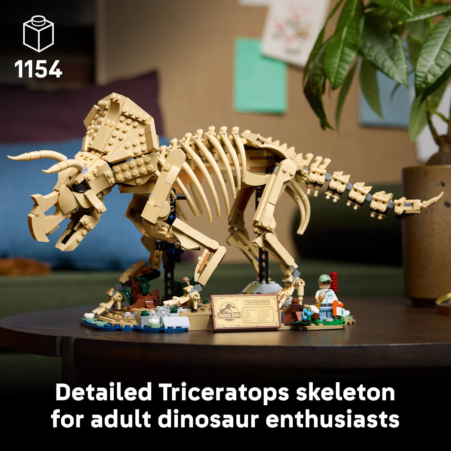 1154: TRICERATOPS OP S - JURASSK pops. Detailed Triceratops skeleton for adult dinosaur enthusiasts