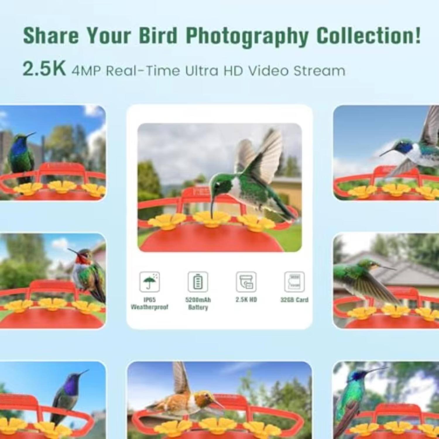Share Your Bird Photography Collection!  
2.5K 4MP Real-Time Ultra HD Video Stream  
IPG5 Weatherproof  
5200mAh Battery  
2.5K HD  
32GB Card