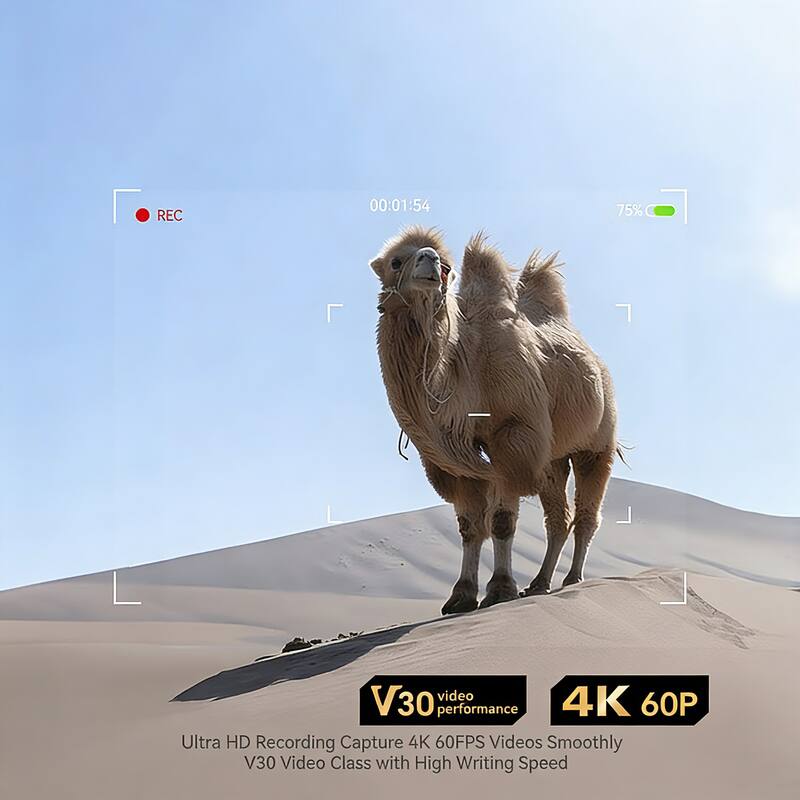 REC 00:01:54 75% V30 video 4K performance 60P Ultra HD Recording Capture 4K 60FPS Videos Smoothly V30 Video Class with High Writing Speed