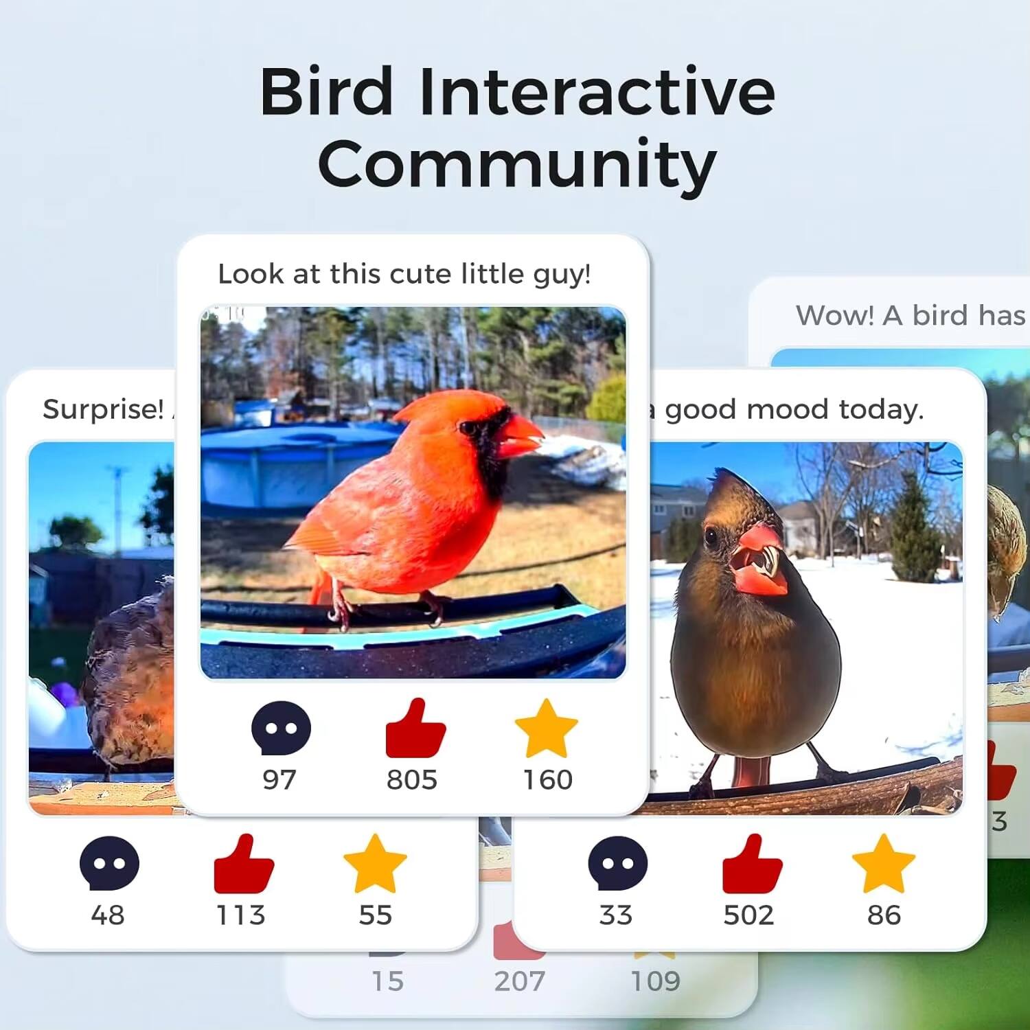 Bird Interactive Community

Look at this cute little guy!  
Surprise!

Wow! A bird has a good mood today.

97 805 160  
48 113 55  
33 502 86