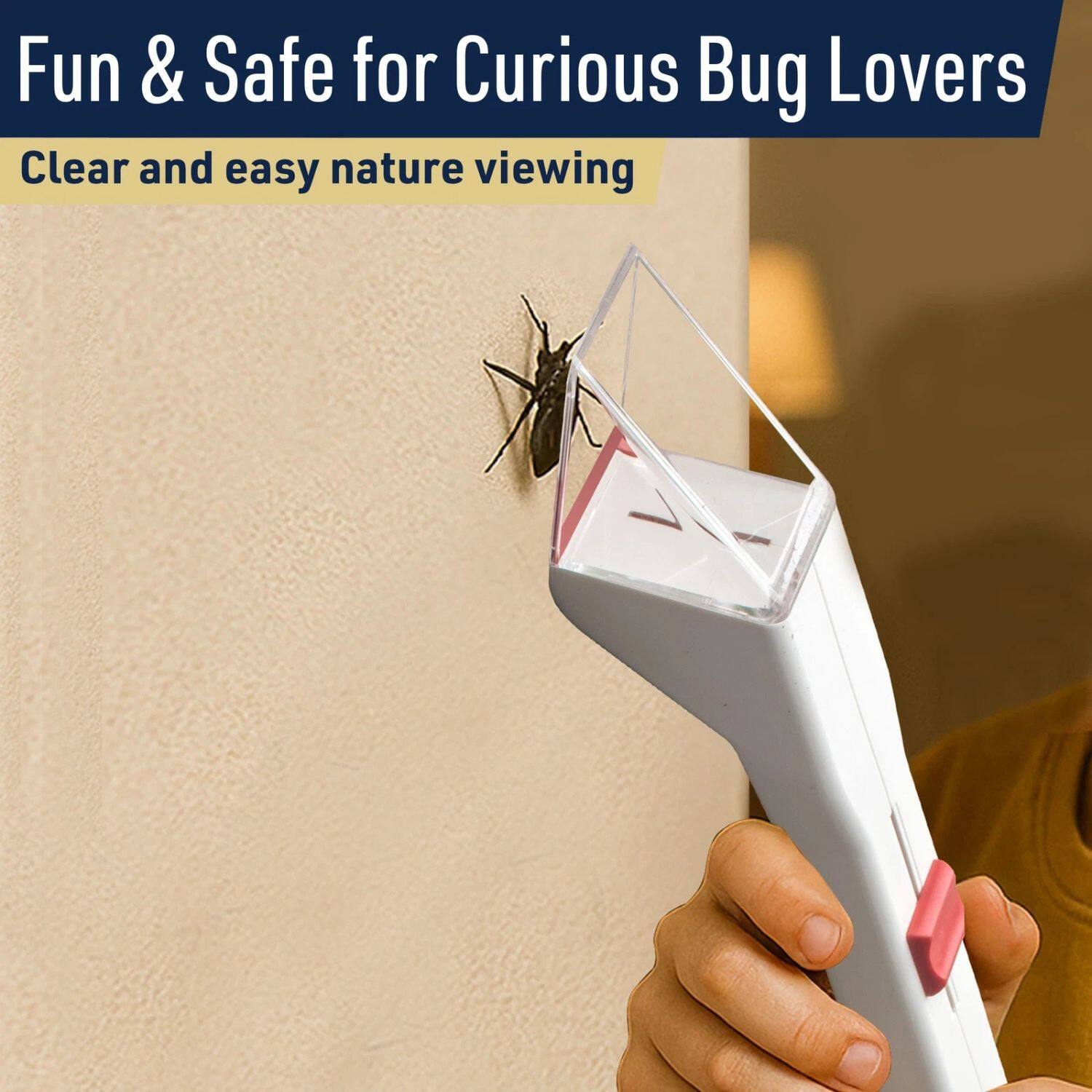 Fun & Safe for Curious Bug Lovers  
Clear and easy nature viewing