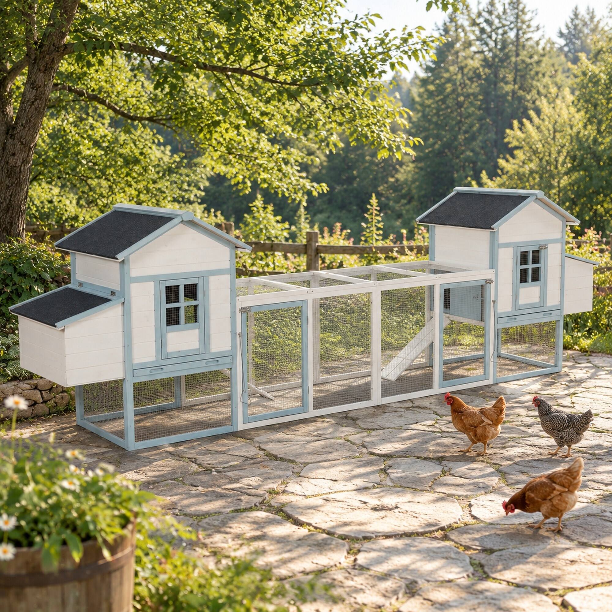 RYHNUYNE Wooden Chicken Coop, Fir Frame, Two Boxes,, Out, Blue and ...