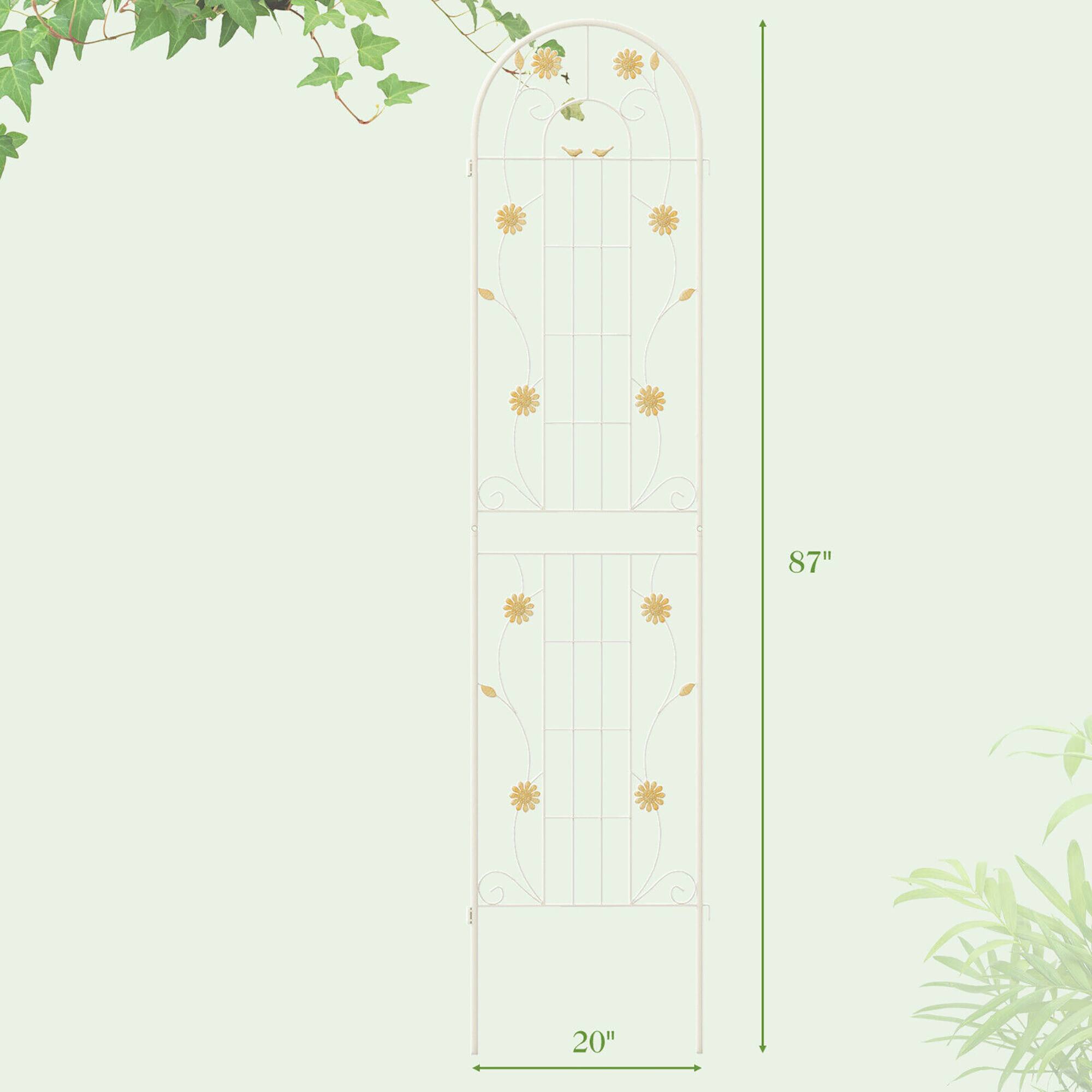 87"  
20"