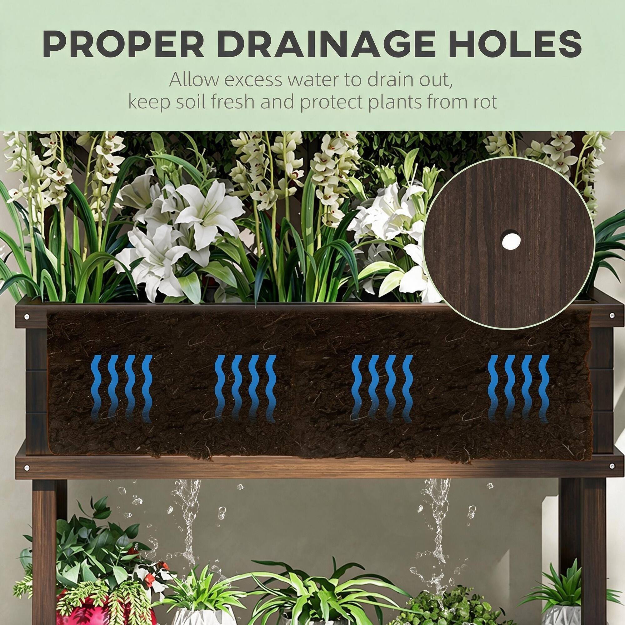 PROPER DRAINAGE HOLES  
Allow excess water to drain out, keep soil fresh and protect plants from rot