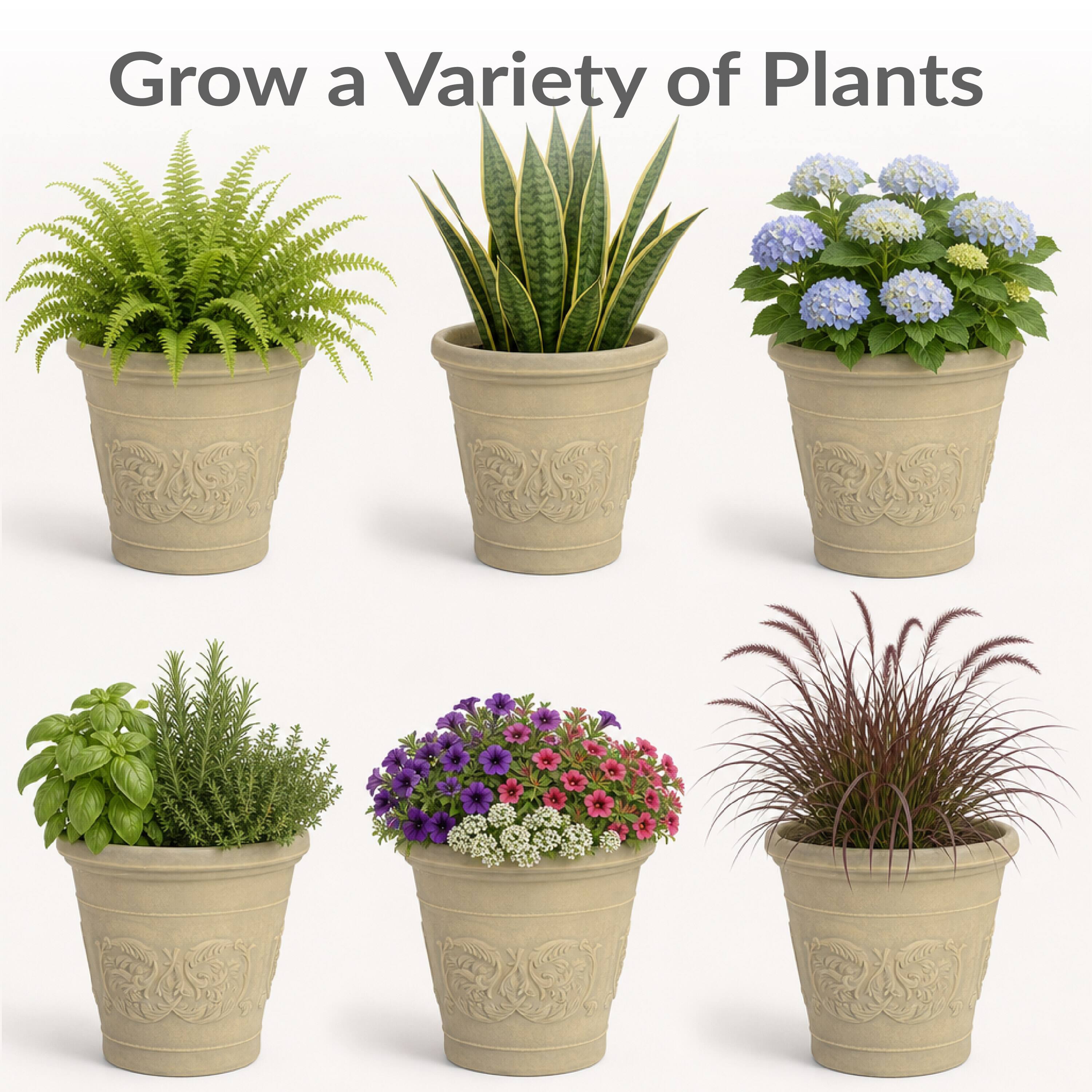 Grow a Variety of Plants