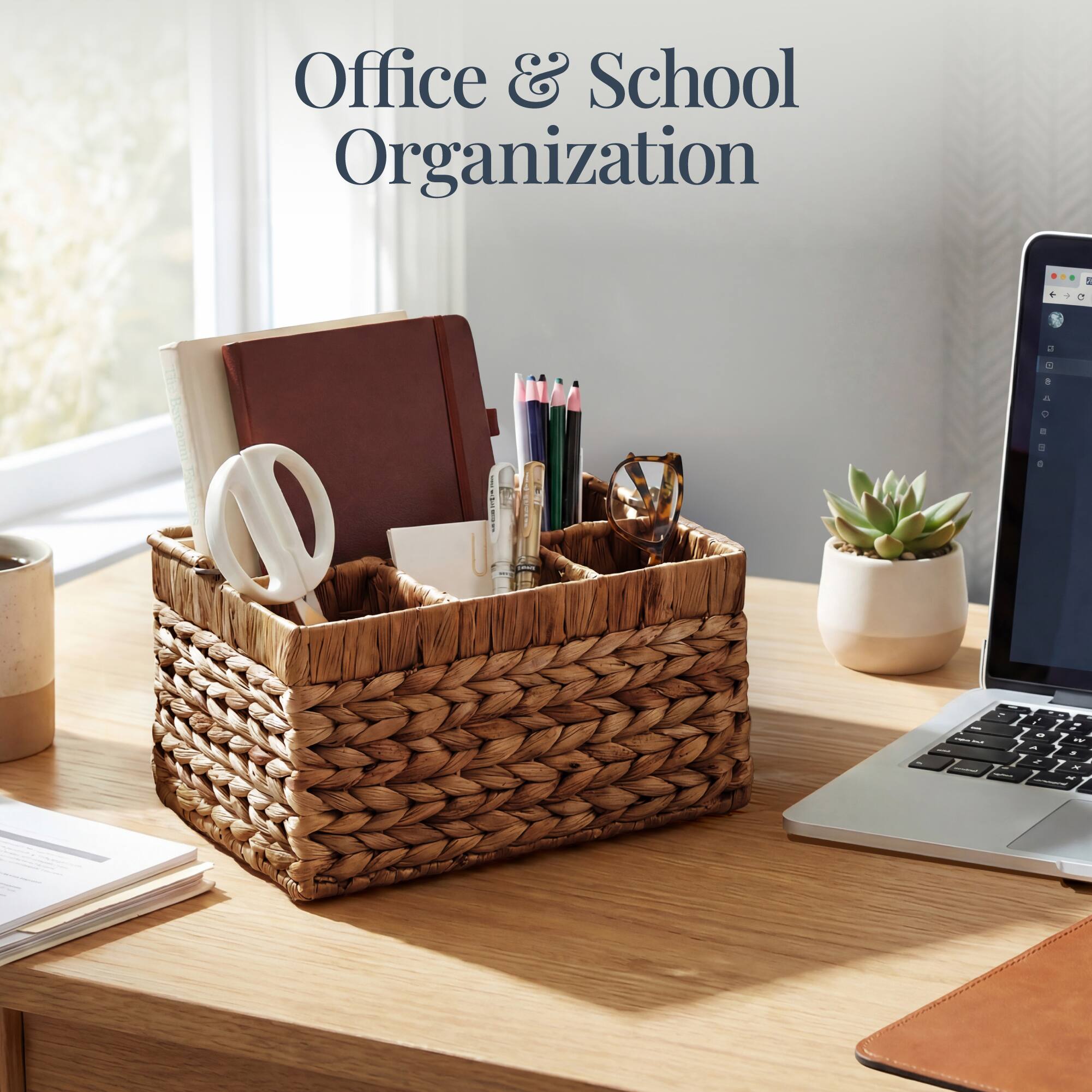 Office & School Organization