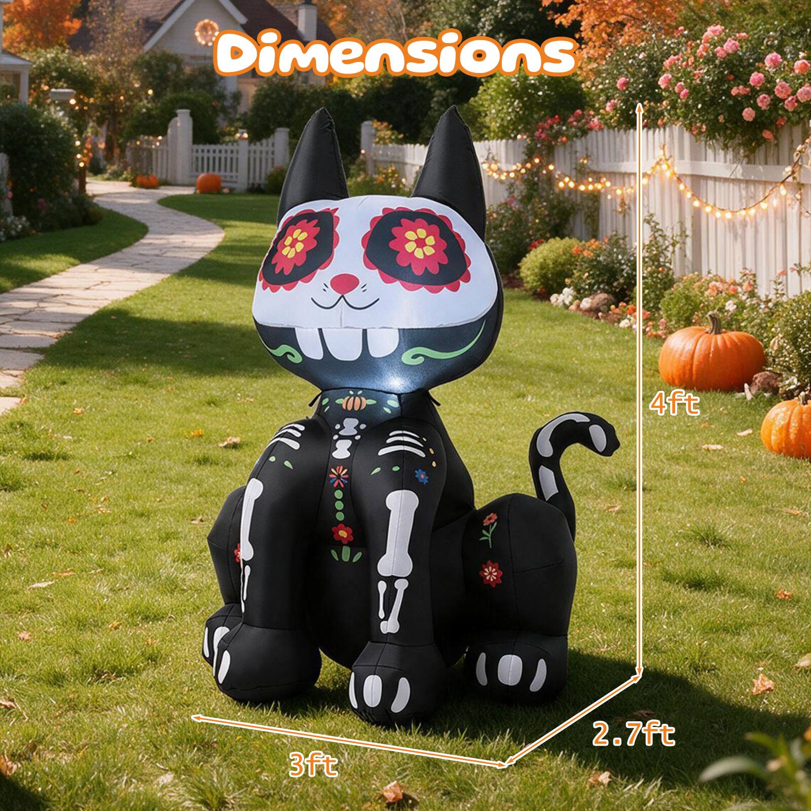 Dimensions  
4ft  
3ft  
2.7ft