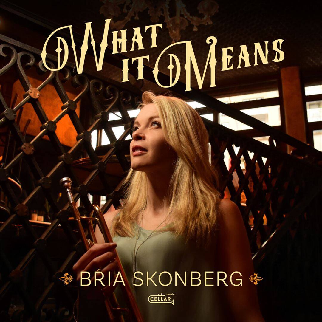 What it Means [LP] [VINYL] price history on PriceWatchPro