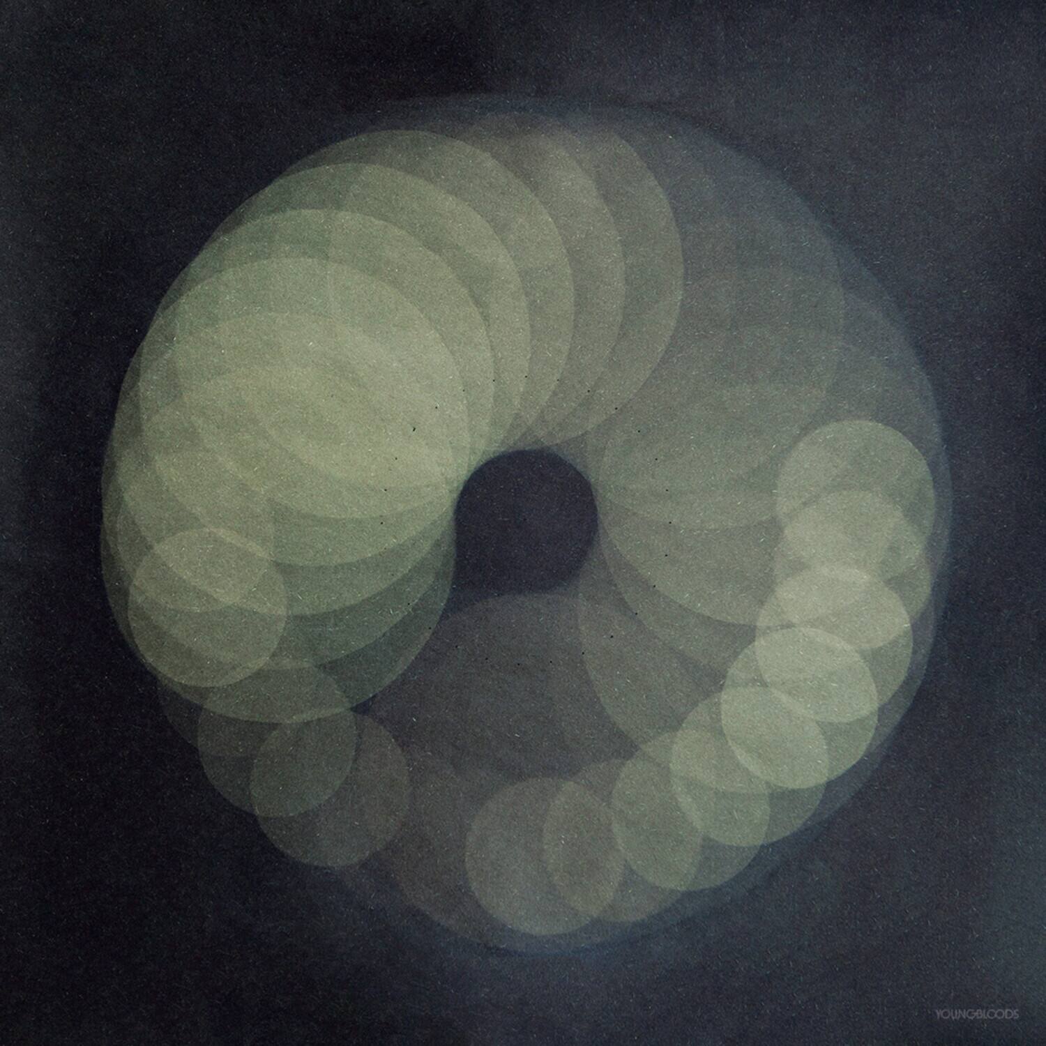 Front. Reves Sonores - Crepuscule   - VINYL LP.