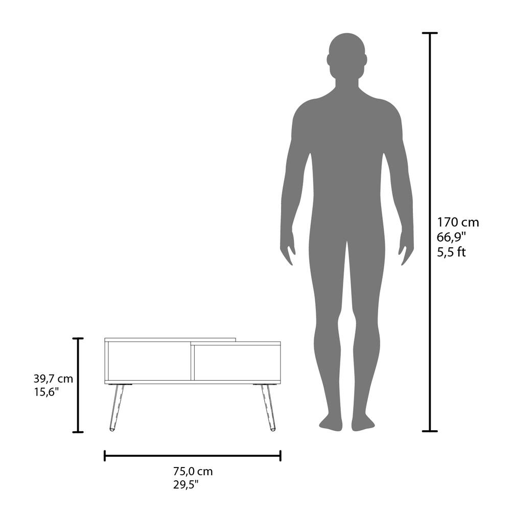170 cm  
66,9"  
5,5 ft  

39,7 cm  
15,6"  

75,0 cm  
29,5"