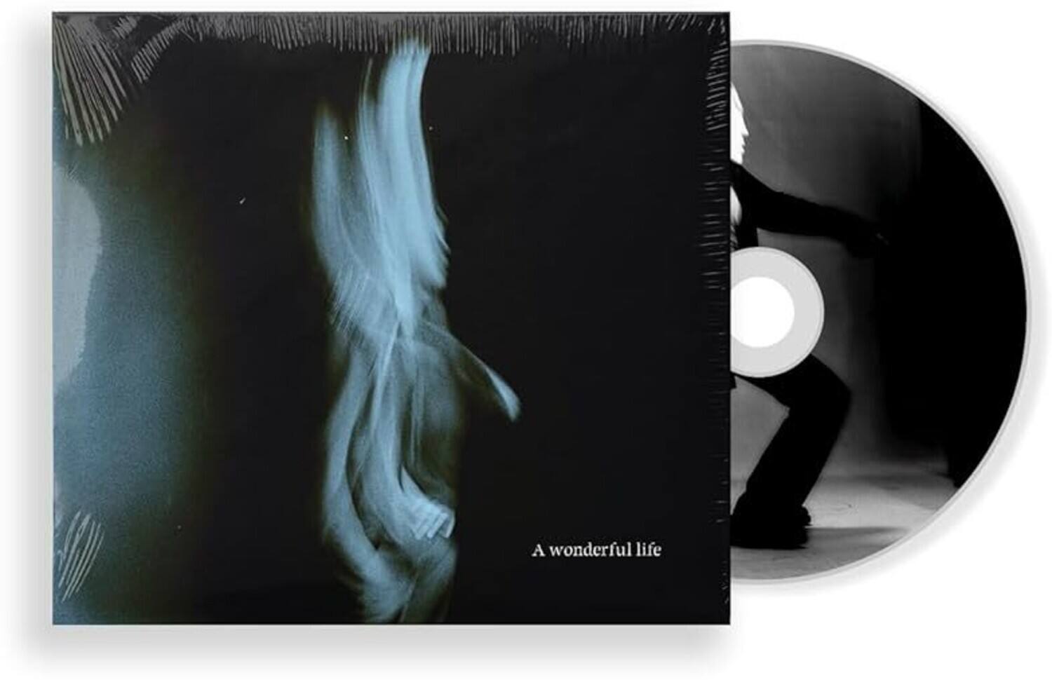 A wonderful life