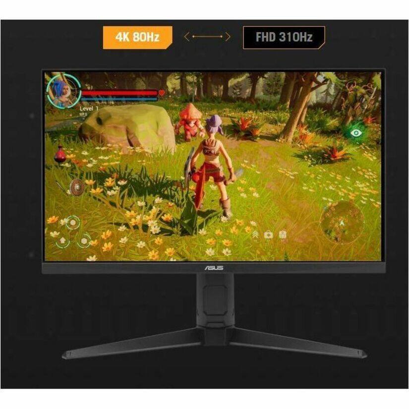 4K 80Hz FHD 310Hz Level 1 XPS ASUS