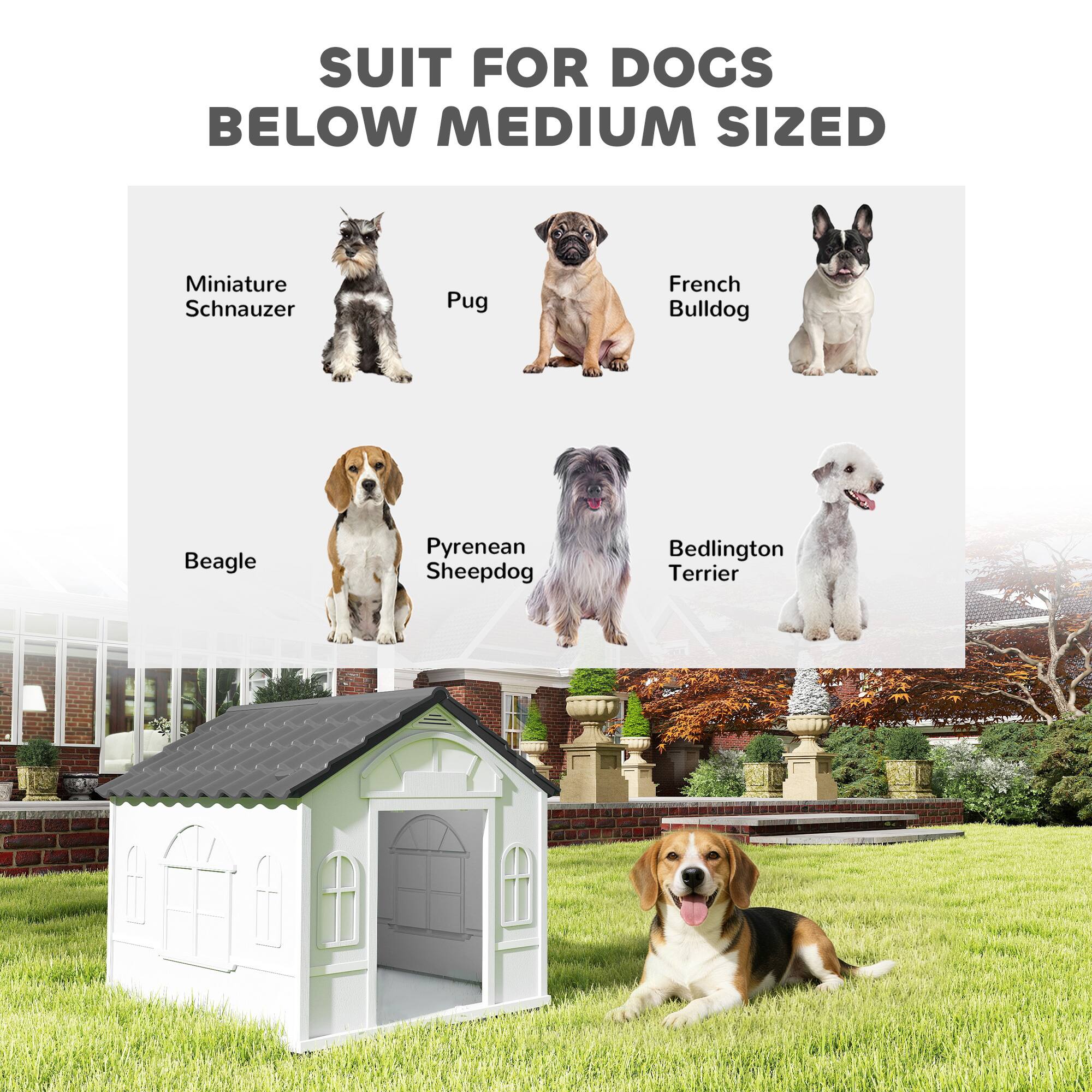 SUIT FOR DOGS BELOW MEDIUM SIZED

- Miniature Schnauzer
- Pug
- French Bulldog
- Beagle
- Pyrenean Sheepdog
- Bedlington Terrier
