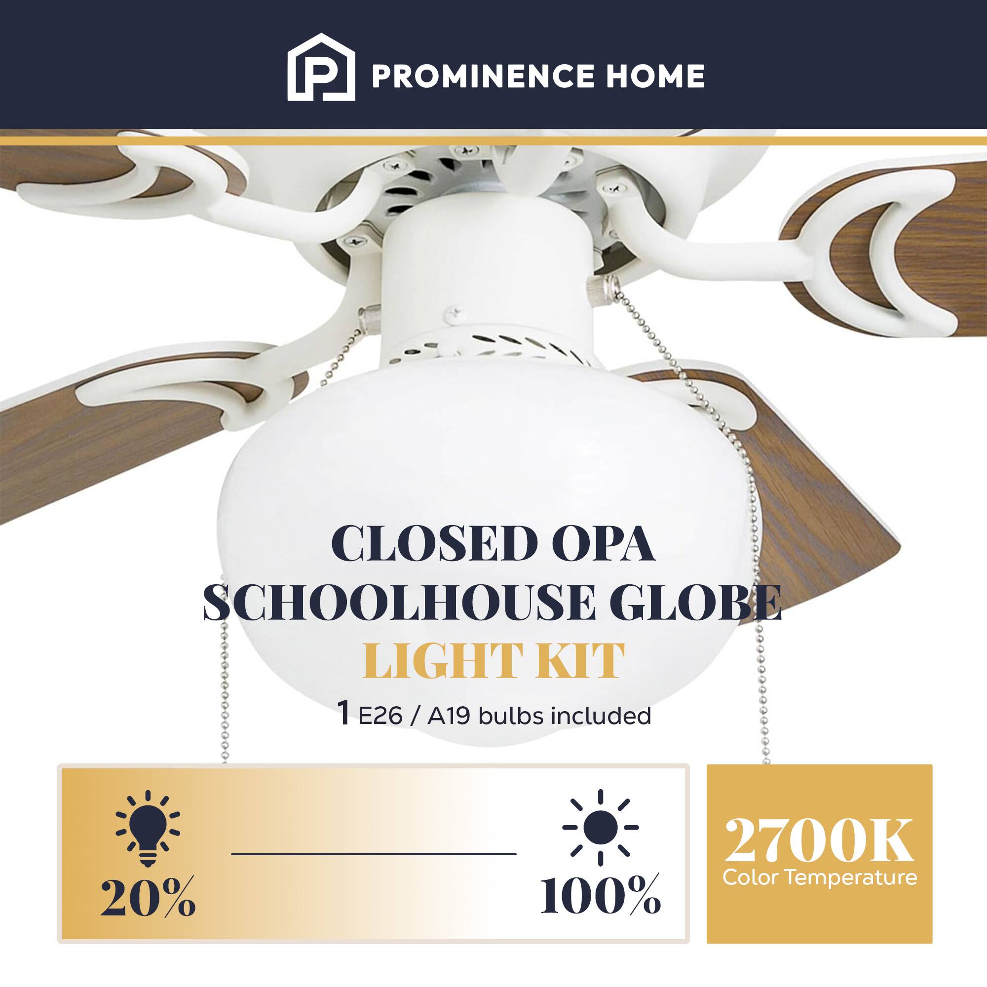 PROMINENCE HOME  
CLOSED OPA SCHOOLHOUSE GLOBE LIGHT KIT  
1 E26 / A19 bulbs included  
20%  
2700K Color Temperature  
100%
